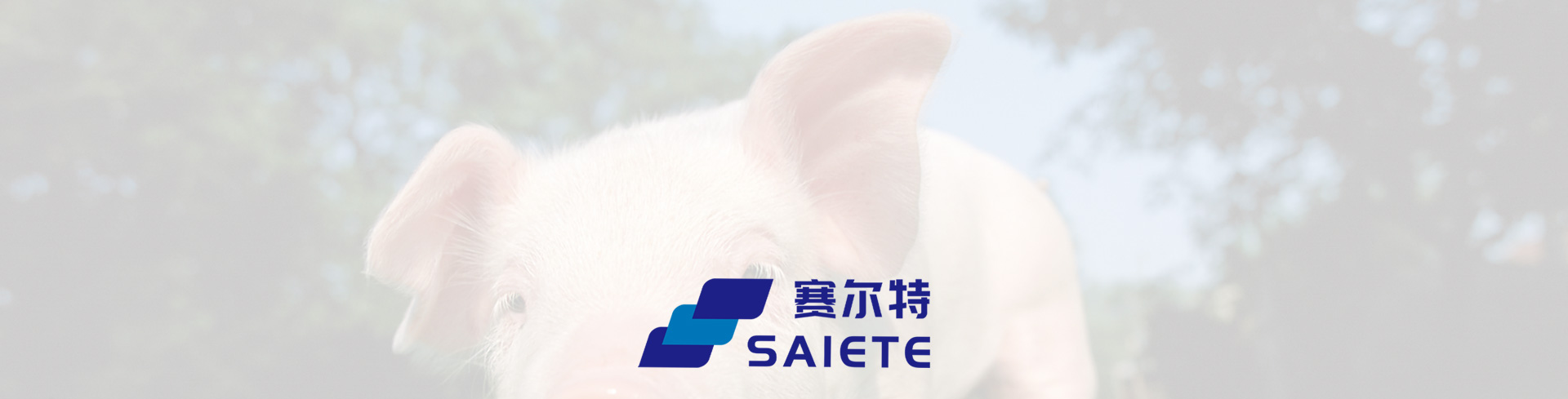 js4399金沙线(中国)有限公司-BinG百科